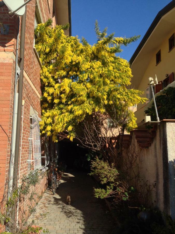 Casa Mimosa Appartement Viareggio Buitenkant foto